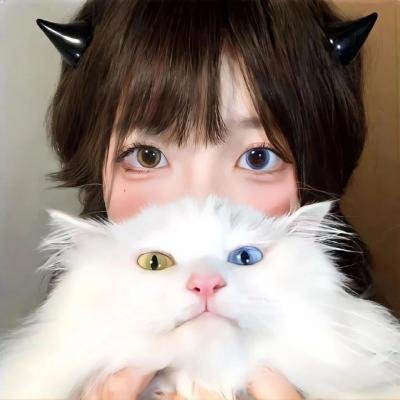 性感女勇士